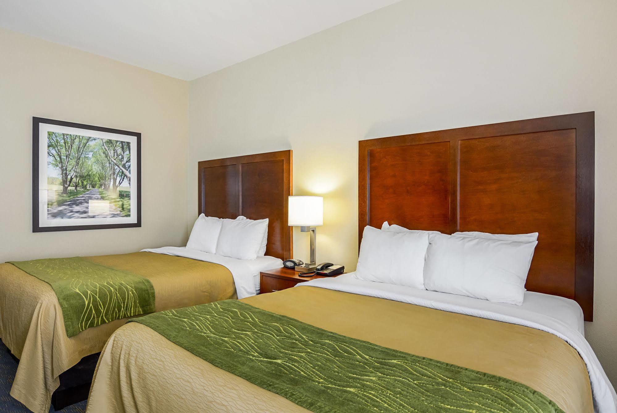 Comfort Inn Woodstock Shenandoah Exterior photo